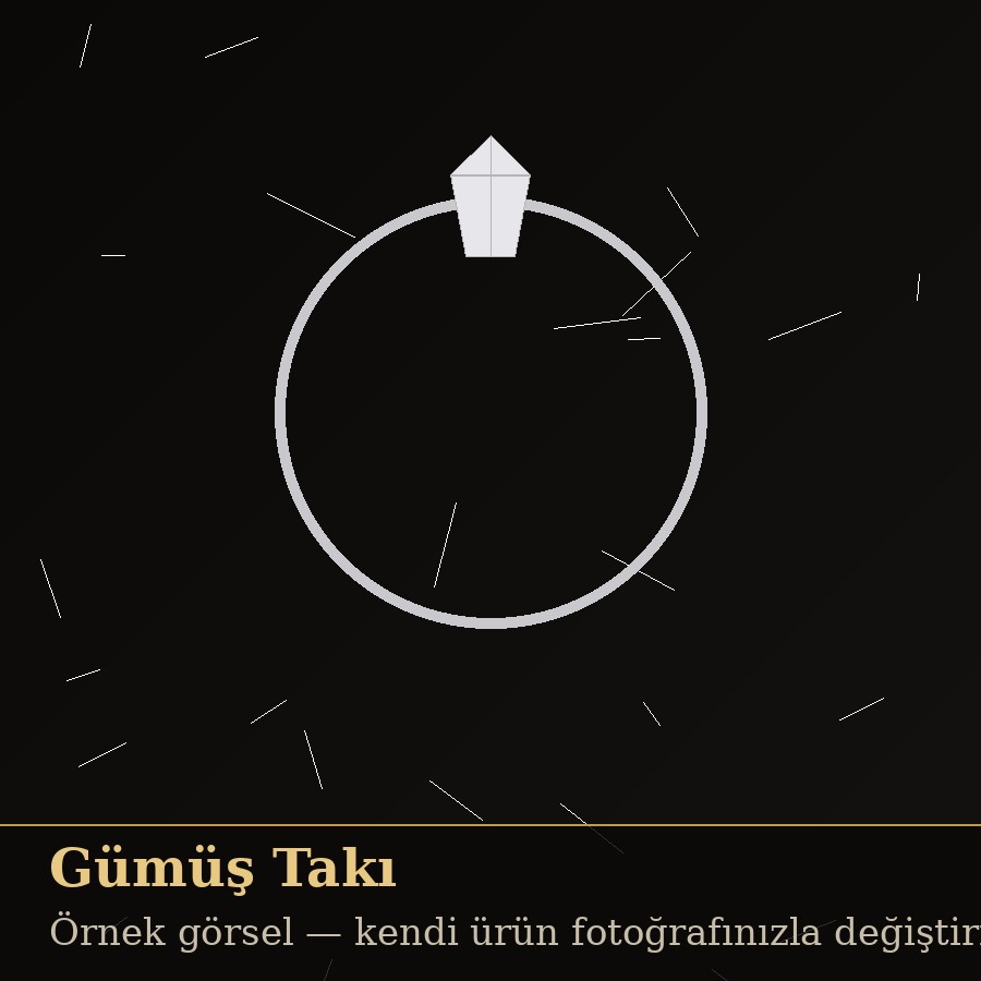 Gümüş Takı Seti